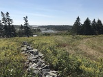 2018-09-04_12-10-37_8A26334D-E80D-4BAC-895C-28BF6581EB5C.jpg