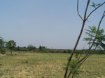 509222042008(13).JPG