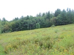 2018-09-03_13-29-33_DSC02353.jpg