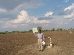 7878gt075a-rainfed-supplemental.jpg