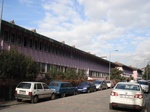 5981DSC05269.JPG