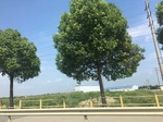 2017-09-12_13-53-14_DCA0AE0F-CB19-4DD0-A19F-1C5353F3C013.jpg