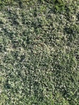 2012-10-16_08-52-52_IMG_2227.JPG