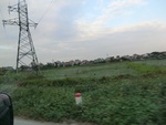 39877CIMG1762.JPG