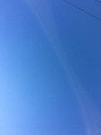 2020-02-21_10-39-31_49AB1C46-FADE-4D0B-B117-AE9DD36427A0.jpg
