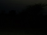 476801052008(33).JPG