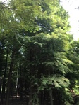 2017-09-12_12-57-20_9EE85D8A-442B-4C75-8918-2CB9F998645B.jpg
