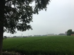 2017-09-10_08-36-05_289626FA-7B8B-4F24-B48C-6213DDB7EF28.jpg
