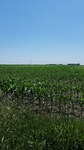 2017-07-06_08-07-22_IMG_20170705_134931.jpg