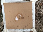 2020-10-30_10-44-36_Lake Arcadia Feb 15-2020 Trap 7.png