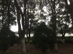 2017-09-10_20-49-01_787EF674-94F7-474B-AA9D-54F15BF0F749.jpg