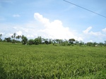 14232IMG_4572.JPG