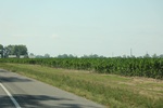 2022-05-26_14-15-28_9A26720C-E136-4693-8B1D-7AF9BD03DE43.jpeg