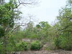 17434100_2122.JPG