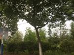 2017-09-12_05-00-10_09326781-BC12-4DF8-9DF2-FC63C6CF9A79.jpg