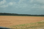 2022-06-11_17-39-28_4E15DB0C-8B64-4450-8601-40B85040E4CE.jpeg
