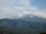 16240IMG_5011.JPG