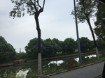 2017-09-10_20-48-37_E569A09A-0F43-4F96-A11D-7D9304B1D81E.jpg