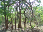1795227042008(83).JPG