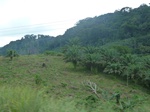 20313P1020169.JPG