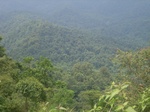 2012-09-08_20-00-37_RIMG0064.JPG