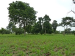 18694P1000532.JPG
