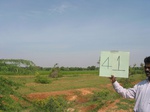 7807gt041b-rainfed-mixed-crops.jpg