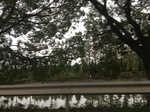 2017-09-10_20-41-51_E6E3A674-4645-4325-8A00-DFA8E1E7B645.jpg