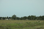 2022-05-26_14-16-27_E3A4124C-C04D-4D66-8FD6-1D521DC8537D.jpeg