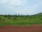 19717P1010566.JPG