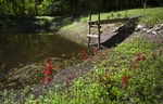 2012-09-03_12-30-49_low pond (1 of 1).jpg