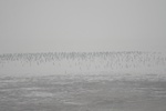 4133IMG_8770.JPG