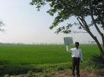 7930gt138b_ricecrop_in_krishnadelta.jpg