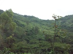 5890100_1594.JPG