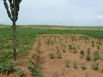 18855P1000696.JPG