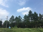 2017-09-12_13-27-28_8F62AF60-27C3-4E92-A3E3-AB65194E841B.jpg