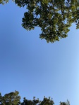 2020-09-26_13-35-24_62FE5F09-B267-4E8D-AE6A-354A823137A1.jpg