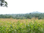 1795527042008(86).JPG