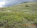 2012-09-27_14-25-41_271.JPG