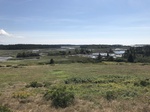 2018-09-04_12-21-04_6AC24906-CDA2-4076-A663-FC8278A32A1F.jpg