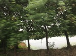 2017-09-11_22-12-34_0B2BE2FA-4545-4FFC-9E56-4BD8031459E8.jpg