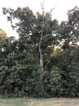 2020-09-30_18-46-03_3EE94626-22F4-4DBB-AC87-4A43157864FE.jpg