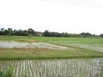 15760IMG_4849.JPG