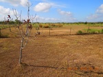 2012-09-19_20-44-50_TX-WK-2-3.jpg