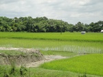 21352DSC00623.JPG