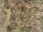 3252R0017286.JPG