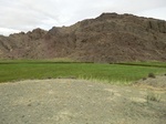 37152CIMG0949.JPG