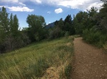 2017-07-06_06-24-03_A6DAE9A4-24EA-40ED-BE79-19ECBB5A8035.jpg