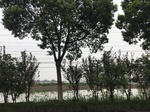 2017-09-10_08-39-54_2FD34E19-6A99-4CC4-9642-901B2E64AC89.jpg