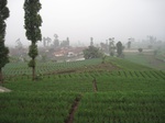13449IMG_3830.JPG